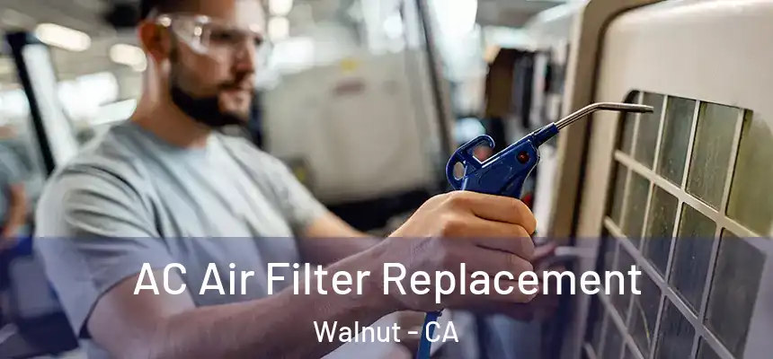  AC Air Filter Replacement Walnut - CA