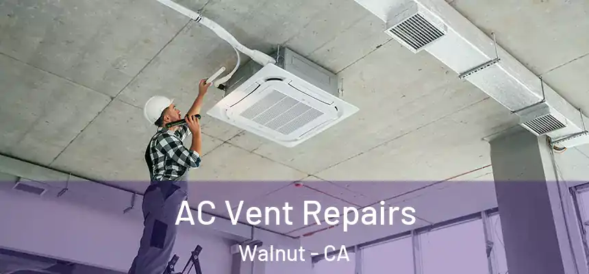  AC Vent Repairs Walnut - CA
