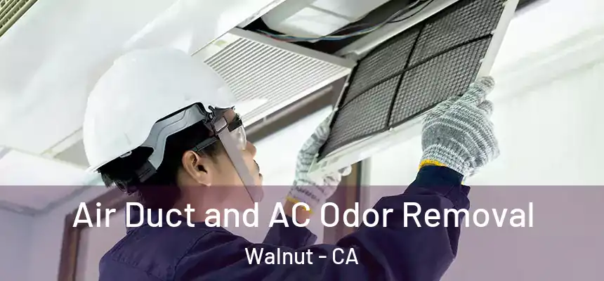  Air Duct and AC Odor Removal Walnut - CA