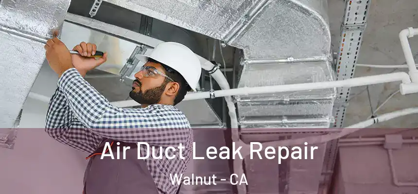 Air Duct Leak Repair Walnut - CA