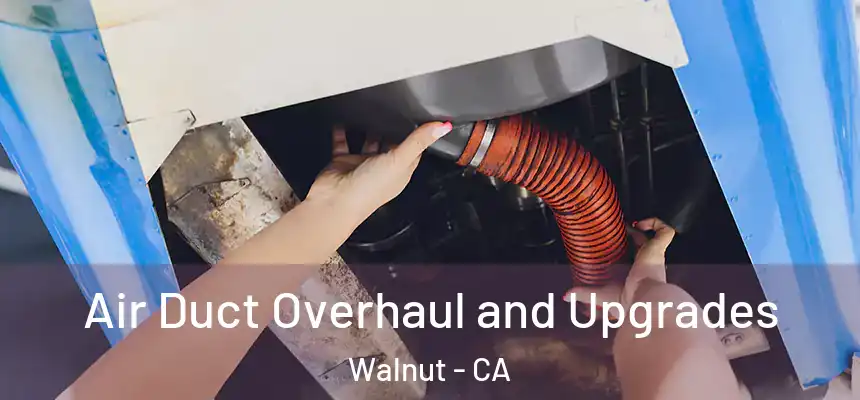  Air Duct Overhaul and Upgrades Walnut - CA