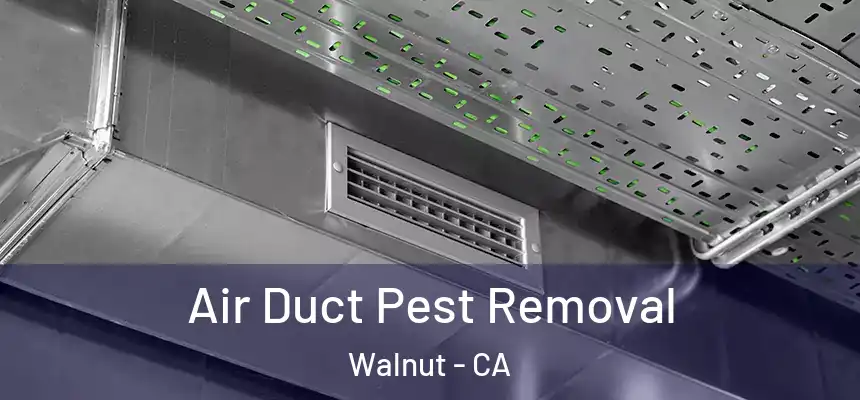 Air Duct Pest Removal Walnut - CA