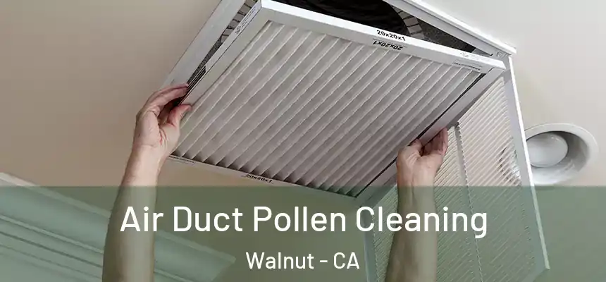  Air Duct Pollen Cleaning Walnut - CA
