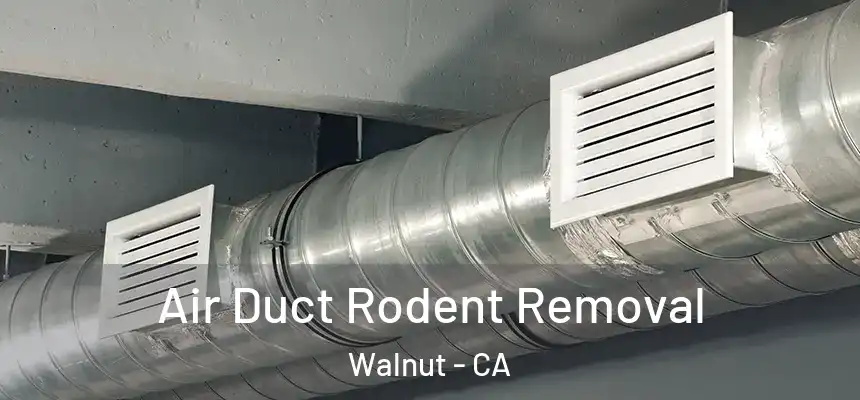  Air Duct Rodent Removal Walnut - CA