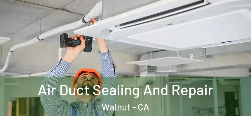  Air Duct Sealing And Repair Walnut - CA