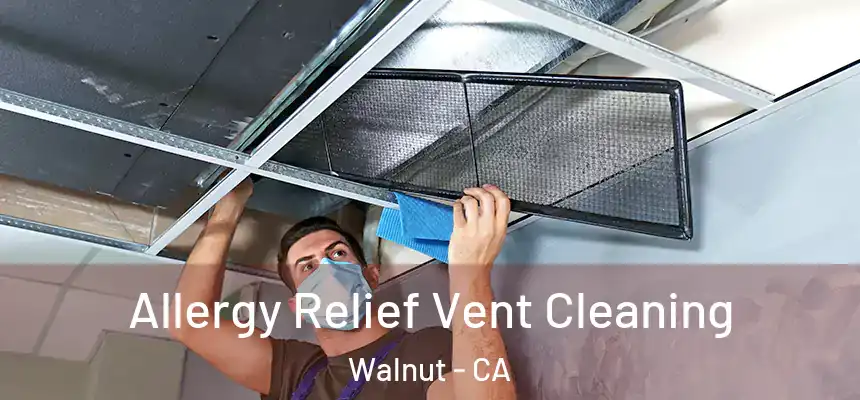 Allergy Relief Vent Cleaning Walnut - CA