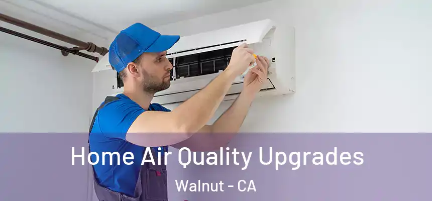  Home Air Quality Upgrades Walnut - CA