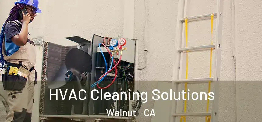 HVAC Cleaning Solutions Walnut - CA