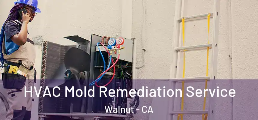  HVAC Mold Remediation Service Walnut - CA
