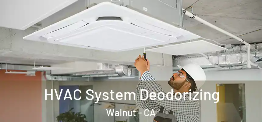  HVAC System Deodorizing Walnut - CA