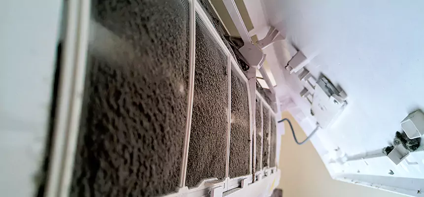 Preventive Air Duct Bacteria Removal in Walnut