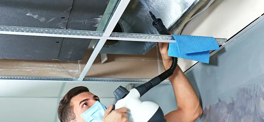 Our Air Duct Rodent Removal Services in Walnut, CA
