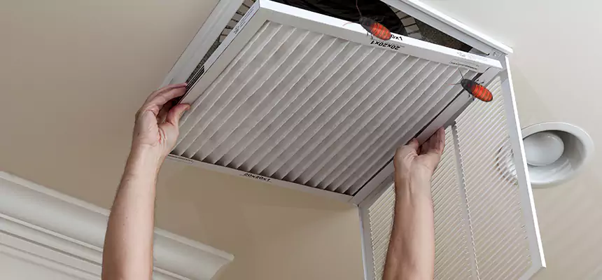 Our Insect Removal from Air Ducts Services in Walnut, CA