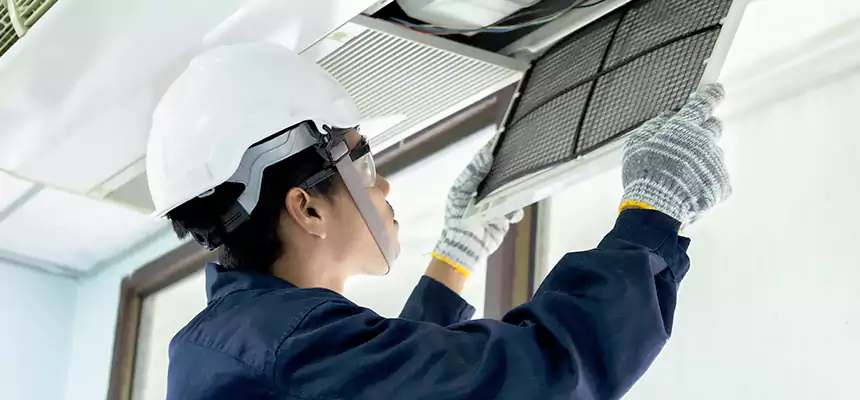 Our Mold & Mildew Removal from Air Ducts Services in Walnut, CA