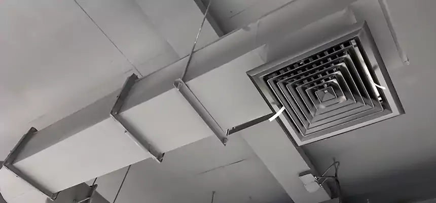 Our Pest Removal From Ducts Services in Walnut, CA