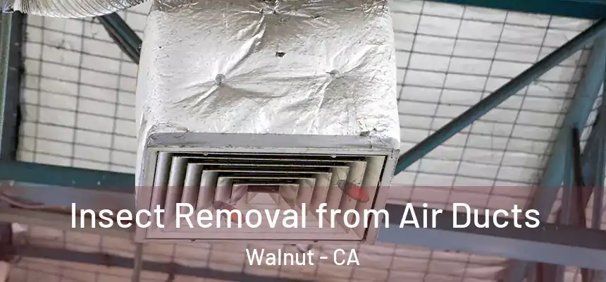  Insect Removal from Air Ducts Walnut - CA