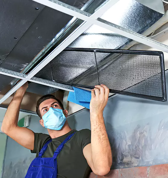 About Air Duct Bacteria Removal in Walnut