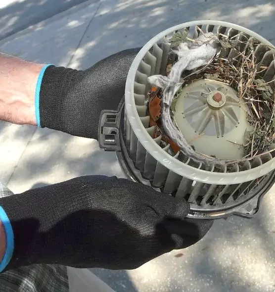 About Air Duct Mice Removal in Walnut, CA