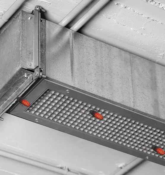 Affordable Insect Removal from Air Ducts in Walnut, CA