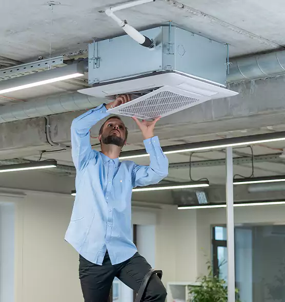 Advanced Rodent Droppings In Vents in Walnut, CA