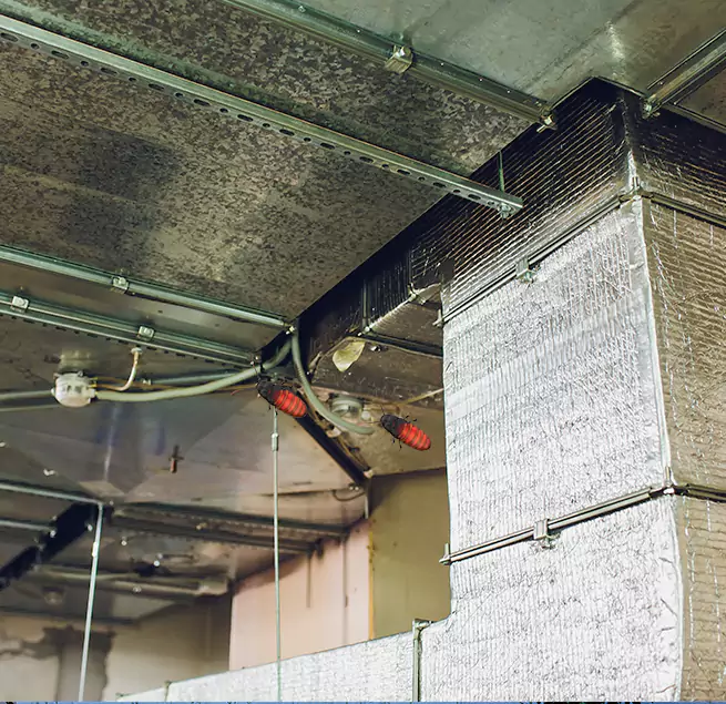 Why Homeowners & Businesses Trust Us in Walnut, CA?