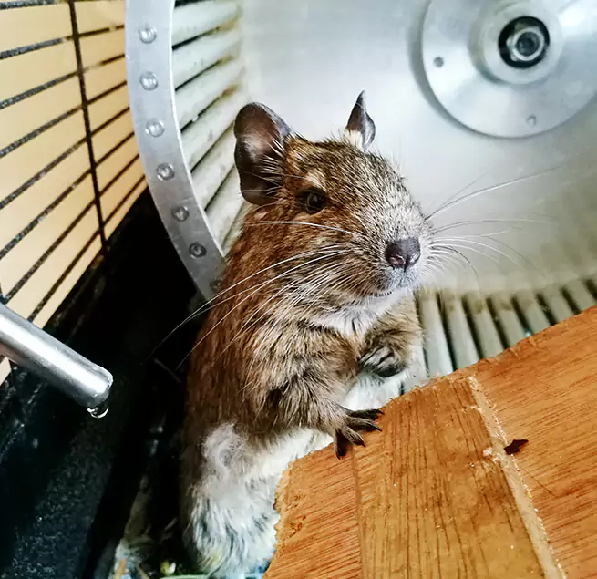 Why Homeowners & Businesses Trust Us Walnut, CA?