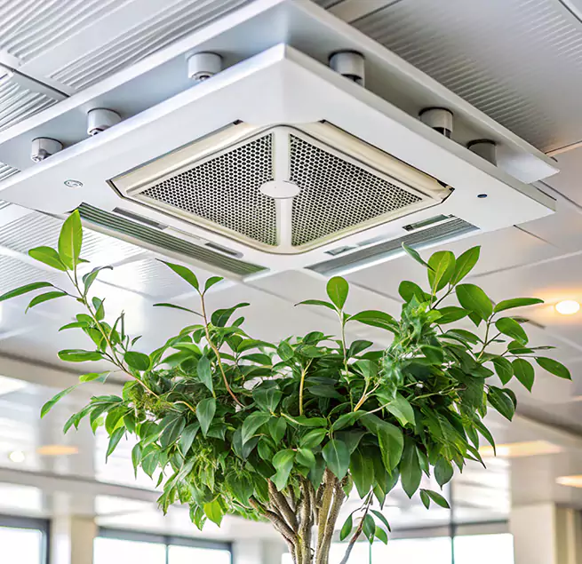 Why Homeowners & Businesses Trust Us in Walnut, CA?