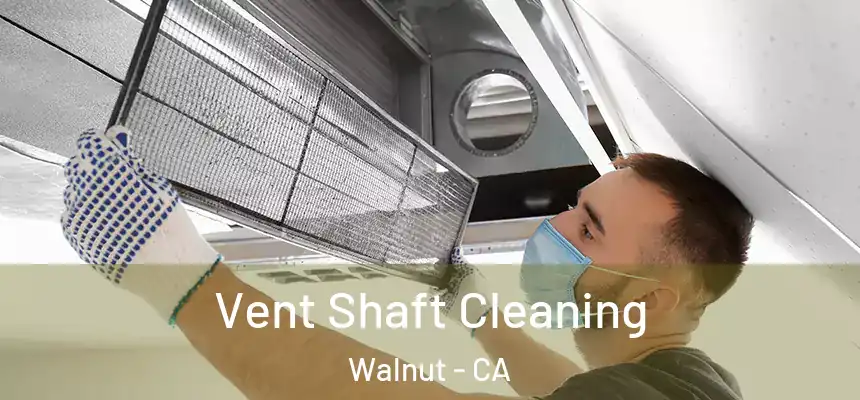  Vent Shaft Cleaning Walnut - CA