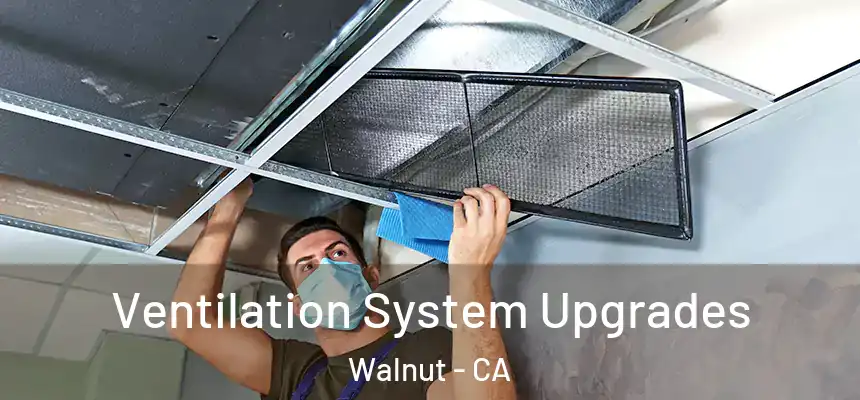  Ventilation System Upgrades Walnut - CA